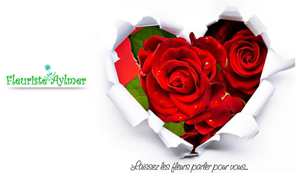 Fleuriste Aylmer en Ligne