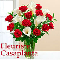 Annuaire Fleuriste Casaplanta