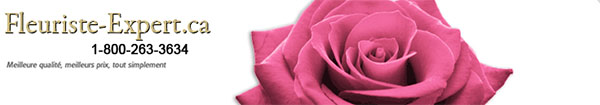 Fleuriste Expert
