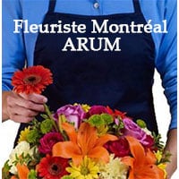 Annuaire Fleuriste Montréal ARUM