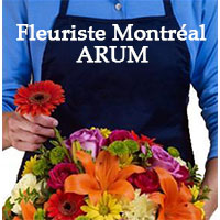 Annuaire Fleuriste Montréal ARUM