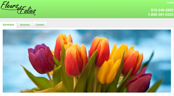 Fleurs et Folies