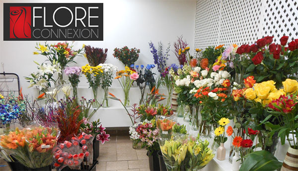 Flore Connexion