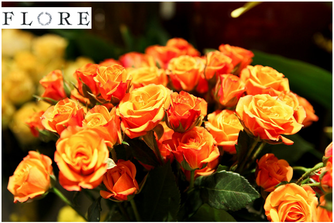 Flore Fleurs, Événements, Objets, Curiosités Flore Fleurs, Événements, Objets, Curiosités