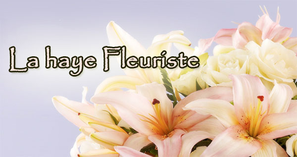 La Haye Fleuriste en Ligne