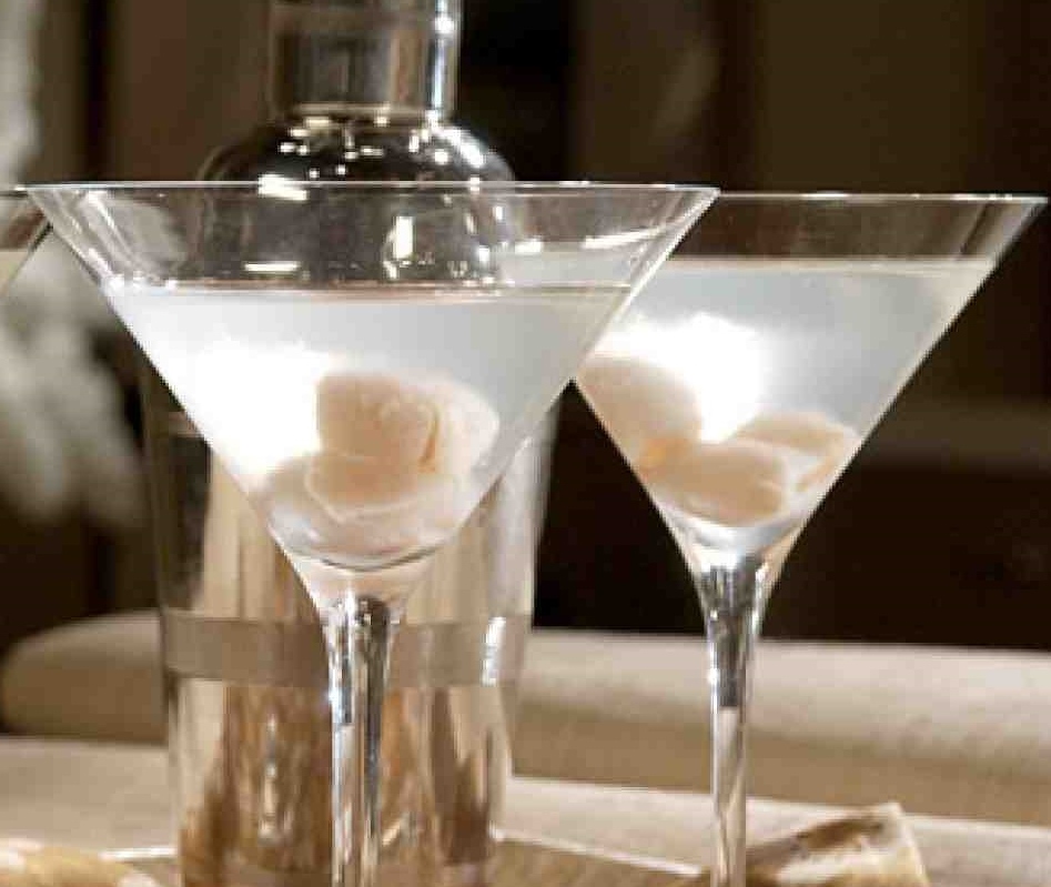 Recette Martini aux Litchis Circulaire en ligne
