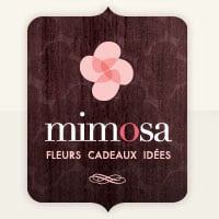 Mimosa Fleur