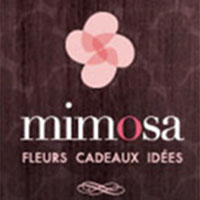 Annuaire Mimosa Fleurs et Cadeaux
