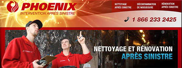 Phoenix Intervention Après Sinitre en ligne