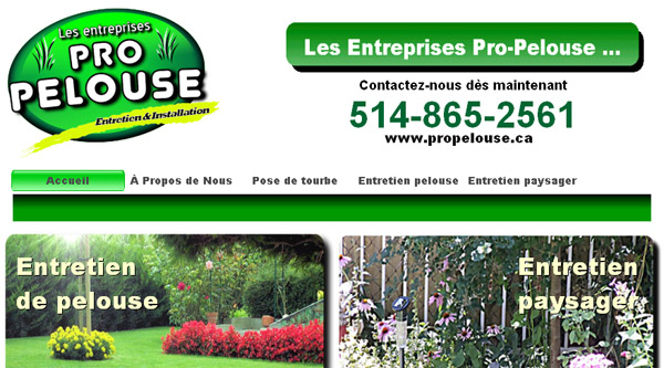 Pro Pelouse Entretien Gazon en ligne