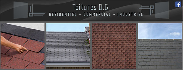 Toitures D.G en ligne