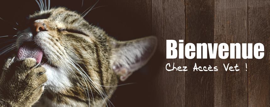 Acc&egrave;s Vet en Ligne