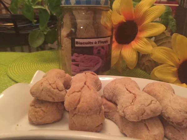 biscuits-a-floppy-3 biscuits-a-floppy-3
