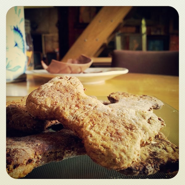 BISCUITS AU MIEL ET FLOCONS D’AVOINE POUR CHIEN