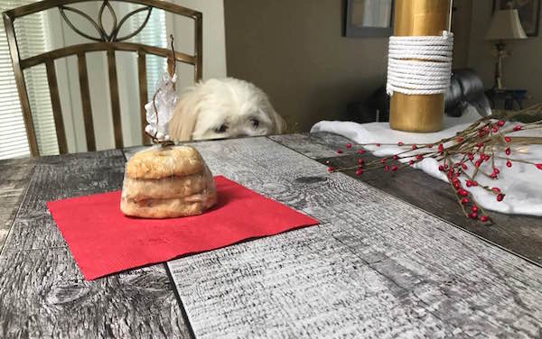 Biscuits au Poulet pour Chien (pour Noël) 14