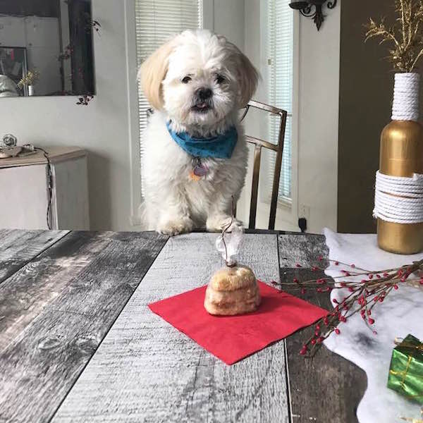 Biscuits au Poulet pour Chien (pour Noël) 8