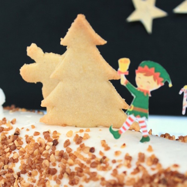 Biscuits buche de noel vanille caramel au beurre sale