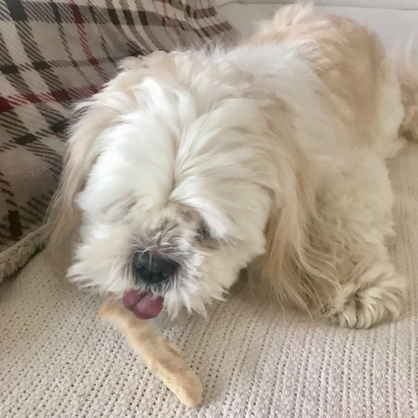 Biscuits pour mon Petit Chien 2