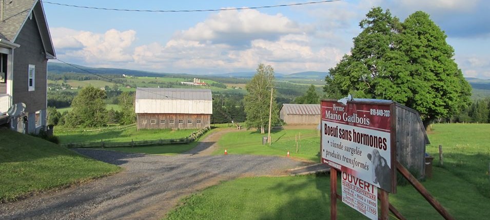 Boucherie Ferme Mario Gadbois en Ligne