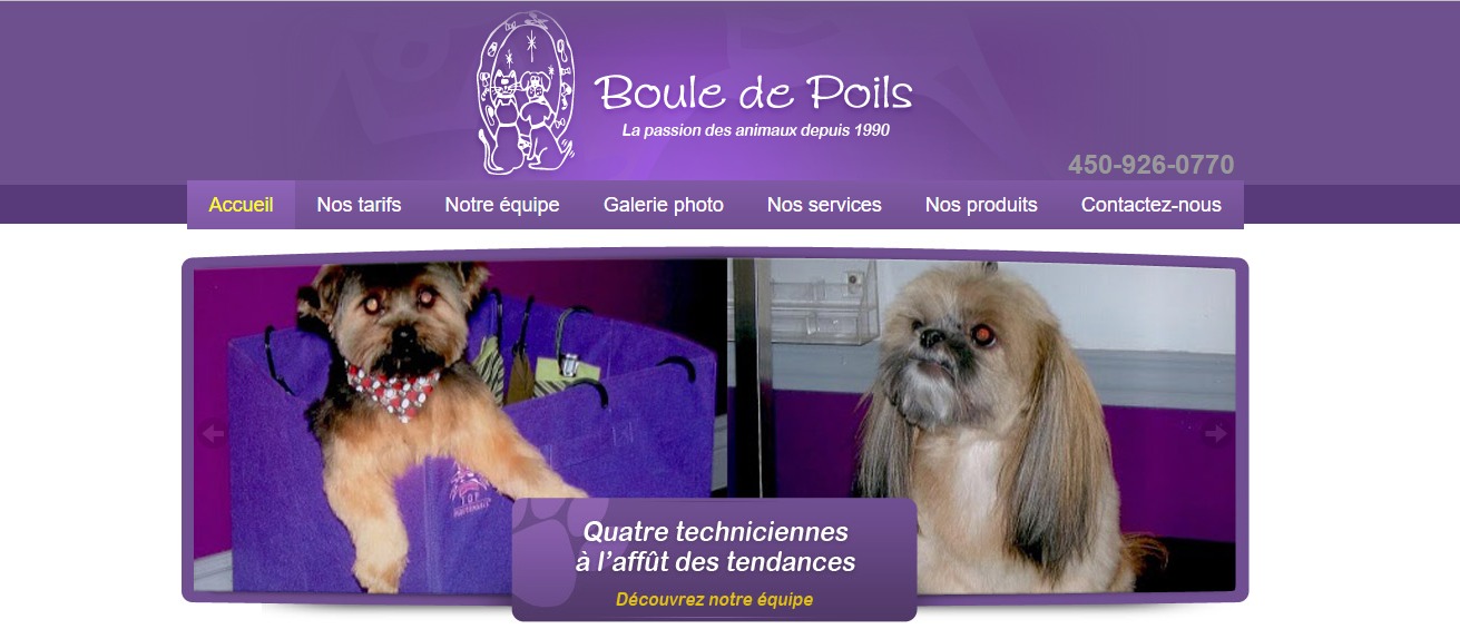 Boule de Poils en Ligne Boule de Poils en Ligne