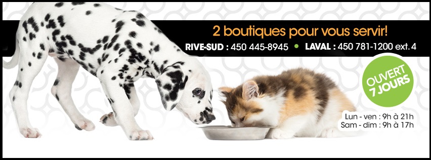 Boutique Animania en Ligne