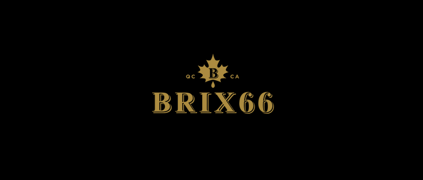 Brix 66 en Ligne 