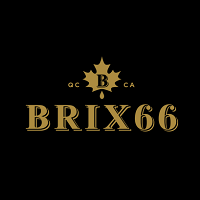 Logo Brix 66
