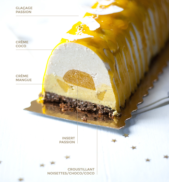 Bûche de Noel Vegan Passion Coco 1