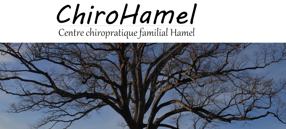 Centre Chiropratique Familial Hamel en Ligne