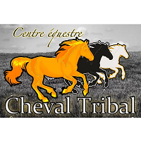 Logo Centre Équestre Cheval Tribal