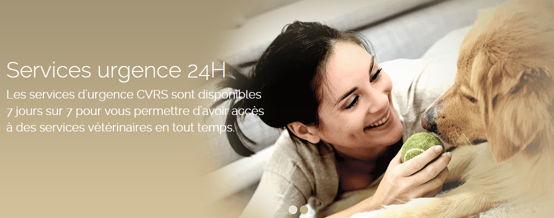Centre Vétérinaire Rive-Sud en Ligne