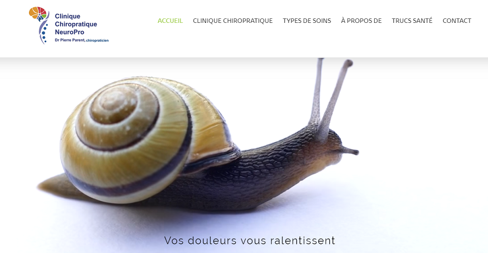 Clinique Chiropratique NeuroPro en Ligne