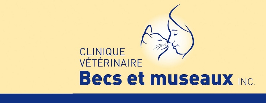 Clinique Vétérinaire Becs et Museaux Inc. en Ligne