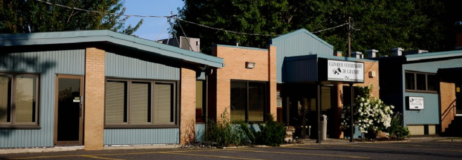 Clinique Vétérinaire de Granby en Ligne