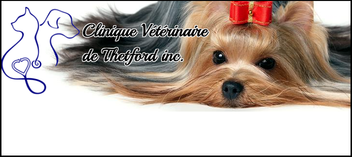 Clinique Vétérinaire de Thetford Inc. en Ligne