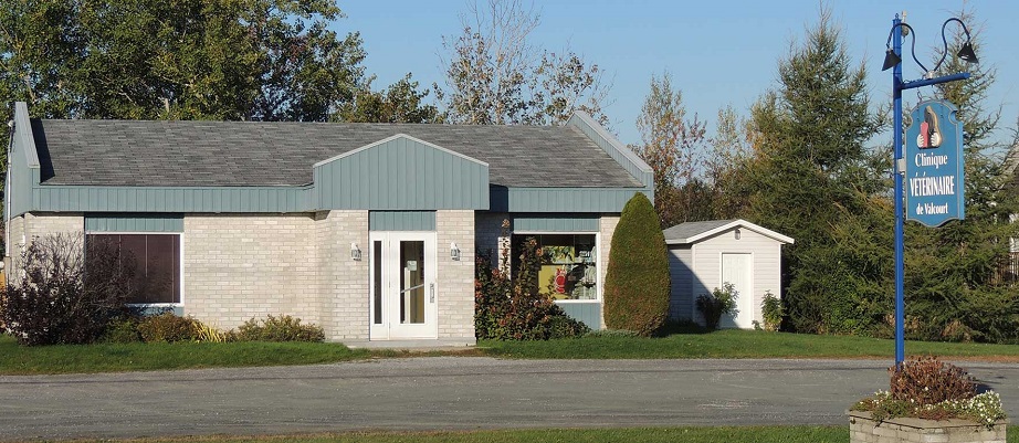 Clinique Vétérinaire de Valcourt en Ligne