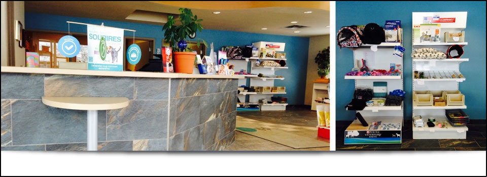 Clinique Vétérinaire de Vlleyfield en Ligne