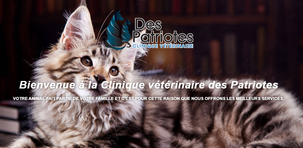 Clinique V&eacute;t&eacute;rinaire des Patriotes en Ligne