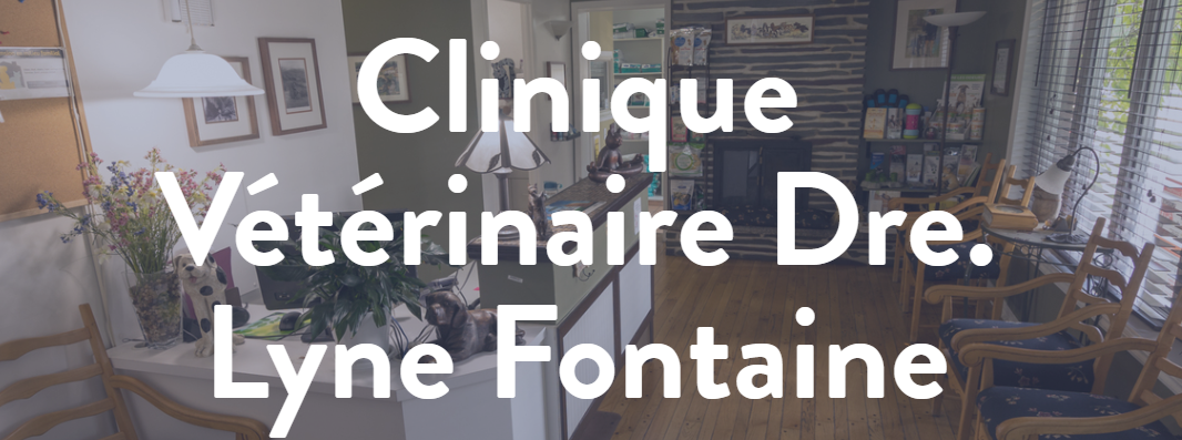 Clinique Vétérinaire Dre. Lyne Fontaine en Ligne