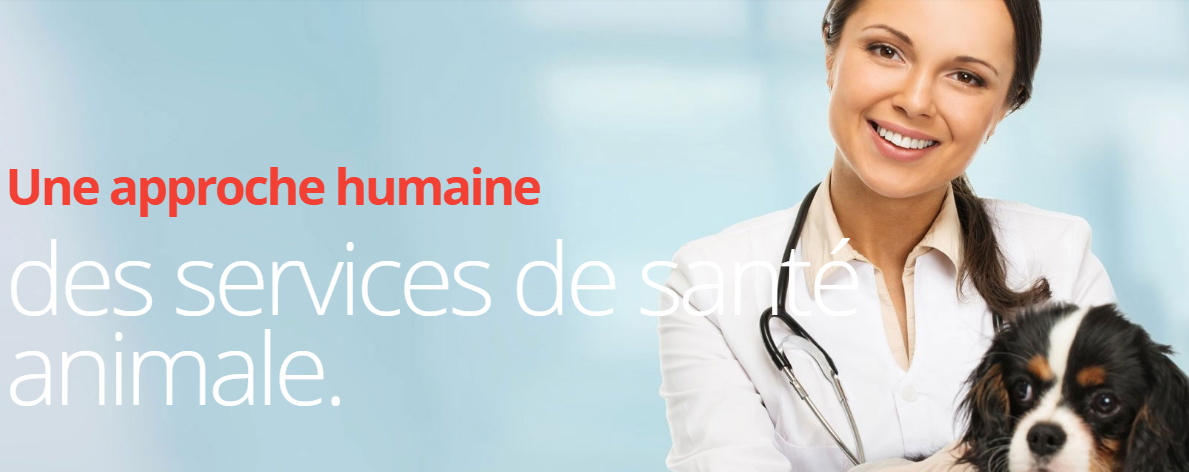 Clinique Vétérinaire St-Tite en Ligne