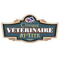 Annuaire Clinique Vétérinaire St-Tite