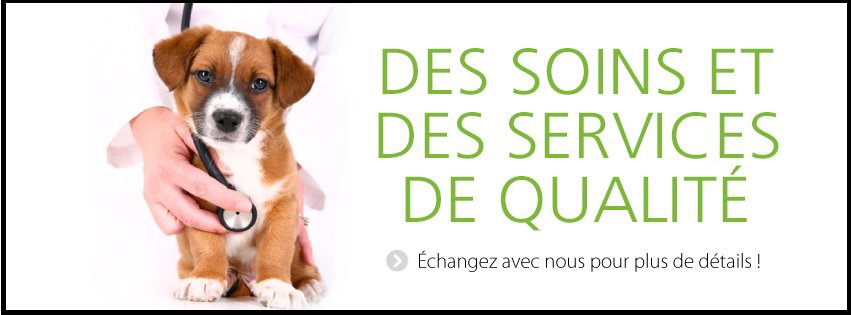 Clinique Vétérinaire Vaudreuil en Ligne