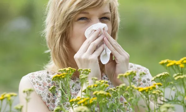 Combattre les Allergies avec ces 4 Remèdes Maison