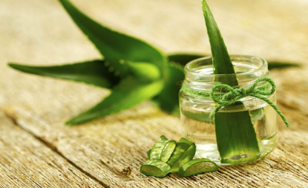 sonnenbrand gesicht aloe vera HELFE Aloe Vera Gel  HELFE GmbH & Co KG