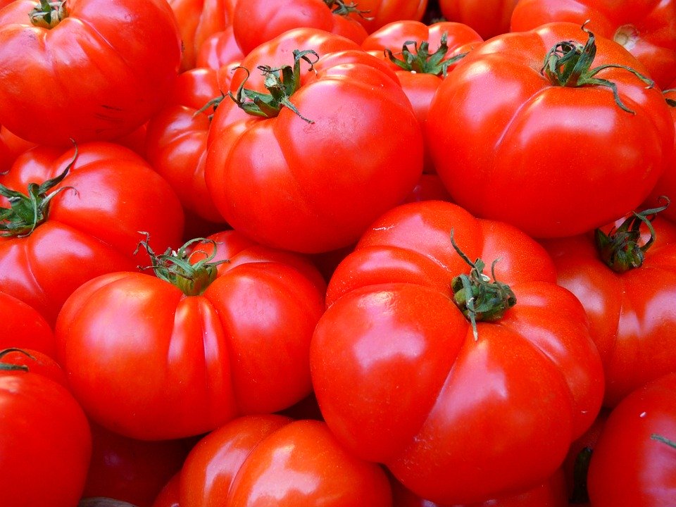 Conseils de Salubrité pour les Tomates