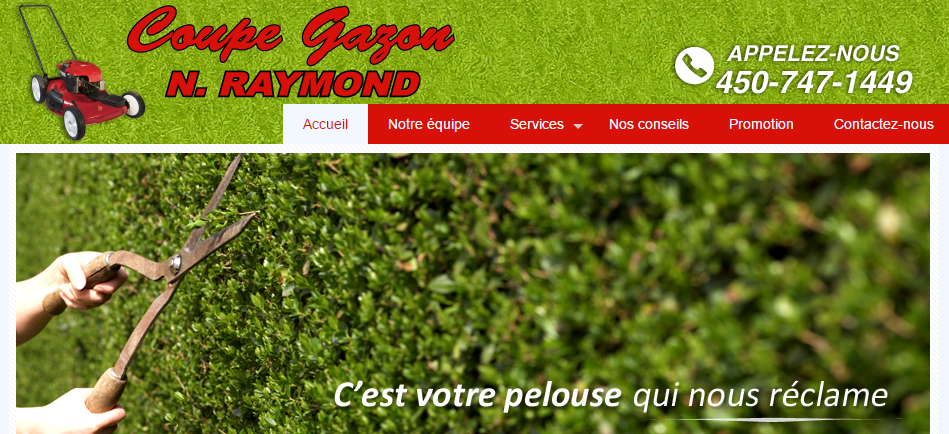 Coupe Gazon N.Raymond en Ligne