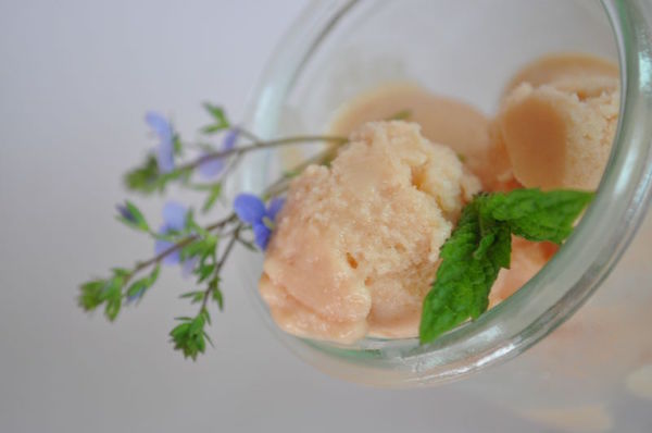 Crème Glacée aux Pêches de Vigne 2 Crème Glacée aux Pêches de Vigne 2