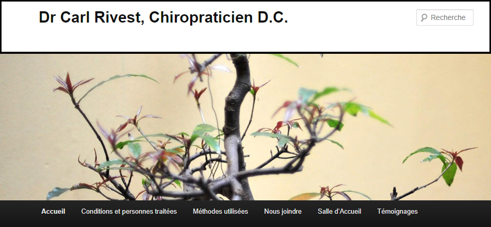 Dr Carl Rivest, Chiropraticien D.C. en Ligne