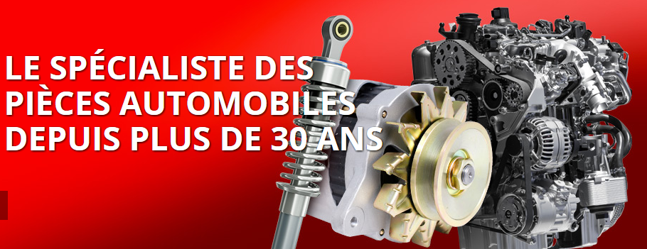 Dumas & Fils en Ligne
