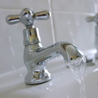 eau froide remède herbe à puce